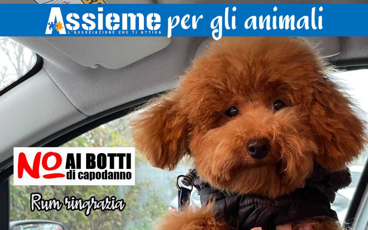 Capodanno con il botto, ma senza botti